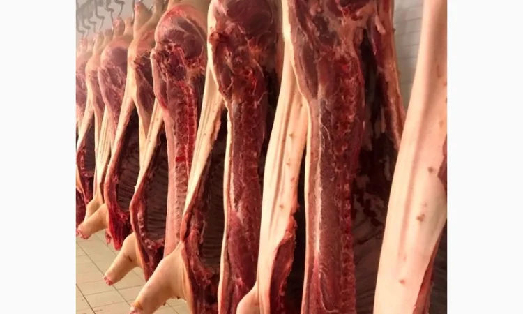 Продам свинину – полутуши (обрезные и в шкуре) - фото № 1