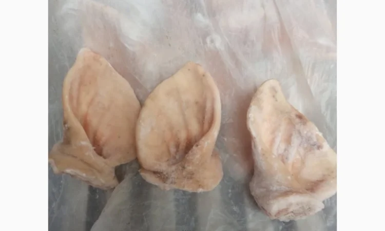 Продам свиные уши оптом и в розницу - фото № 1