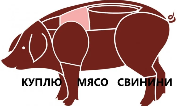 Куплю свинину (1-й та 2-й сорт), охолоджену або заморожену. Опт, стабільні закупівлі - фото № 1