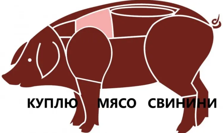 Куплю свинину (1 сорт - фото № 1