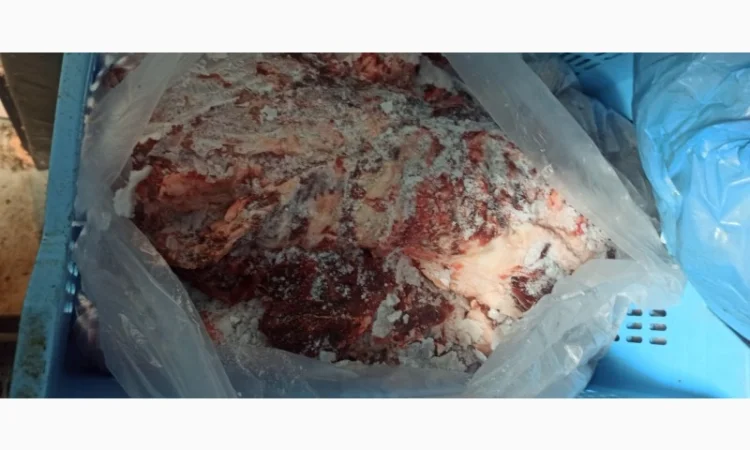 Продам односортне м’ясо свинини - фото № 1