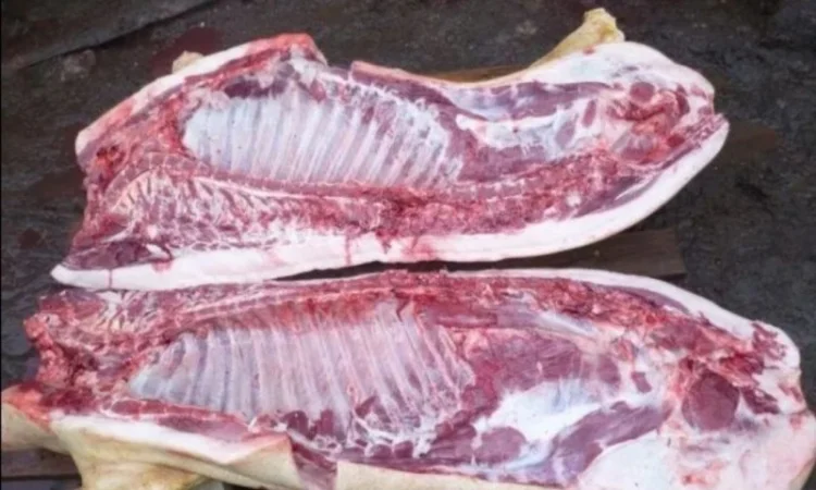 Продаю свинячі полутуші - фото № 1