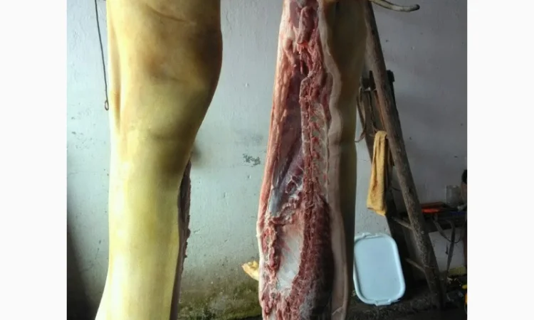 Свинина оптом та дрібним гуртом - фото № 1