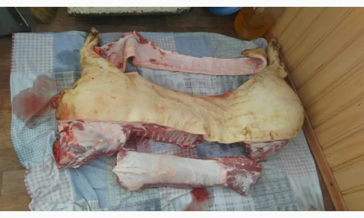 Свинина оптом та дрібним гуртом - фото № 2