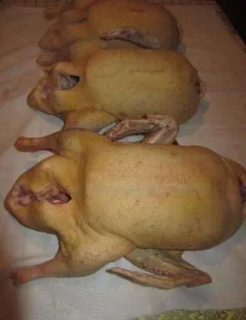 Продам мясо. Индейка, индюк, курица, утка, гусь, тапак, перепела - фото № 1