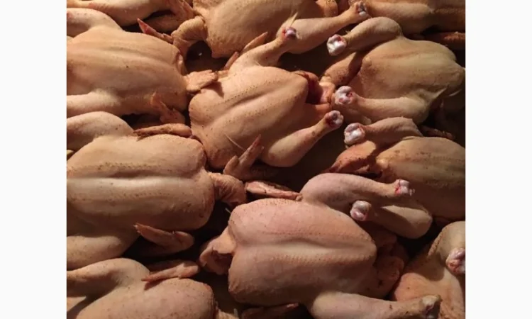 Продам мясо. Индейка, индюк, курица, утка, гусь, тапак, перепела - фото № 3