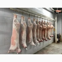 Покупаем яйцо и куриную продукцию оптом - фото № 7