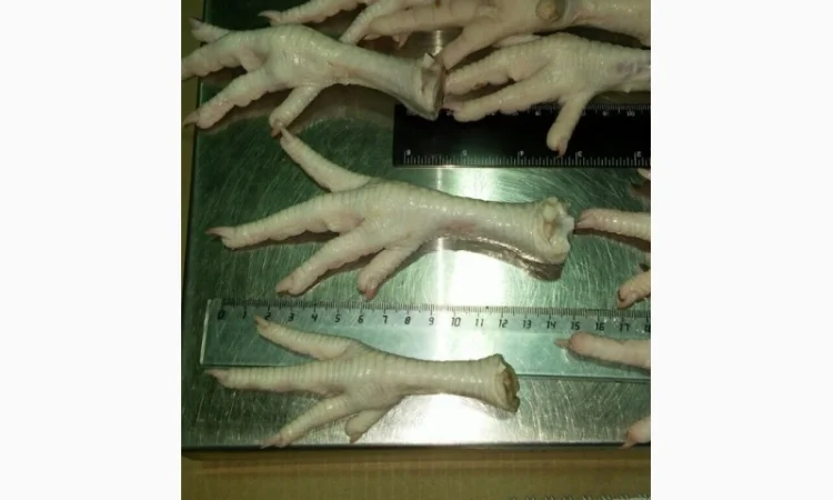 Купуємо курячі лапки класу А1 - фото № 1