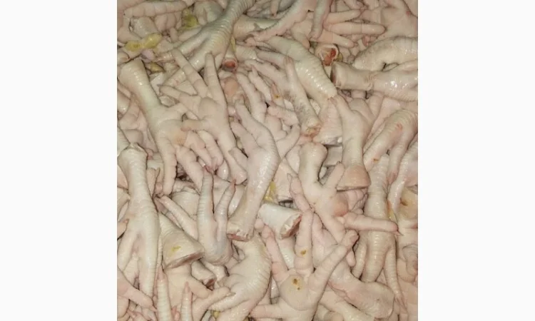 Купуємо курячі лапки класу А1 - фото № 2