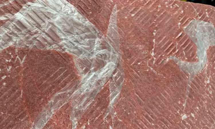 Продам куриный фарш ММО 1 мм - фото № 1