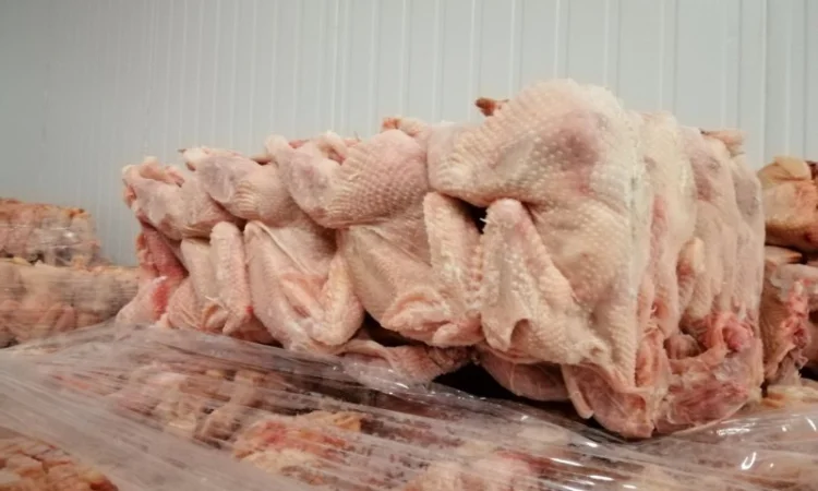 Тушки несушек патранной 2 категории в продаже - фото № 1