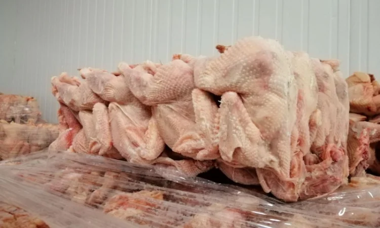 Продам тушку курки-несушки від виробника - фото № 1