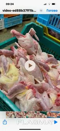 Продам тушку курки-несушки від виробника - фото № 2