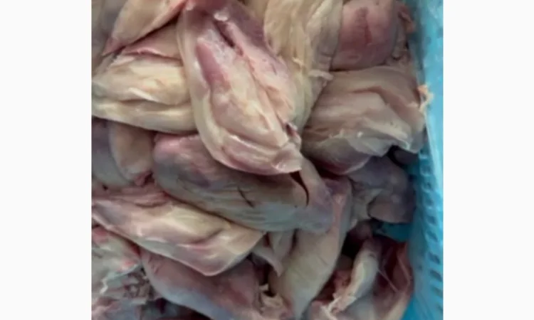 Куриное филе - в продаже - фото № 1