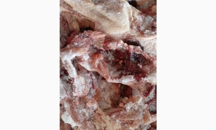 Продам замороженные куриные спинки - фото № 1