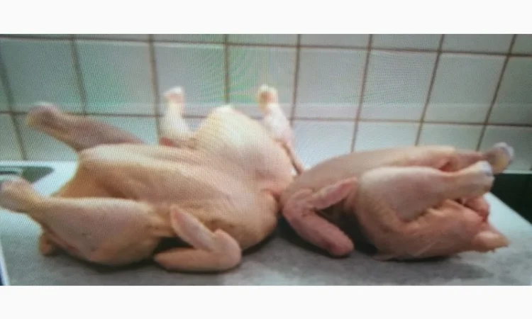 Купуємо курятину в роздріб - фото № 1