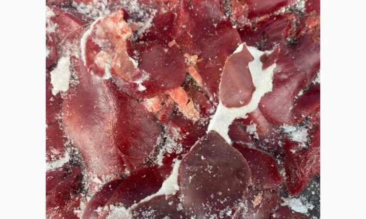 Продам курячу печінку – за запитом - фото № 2