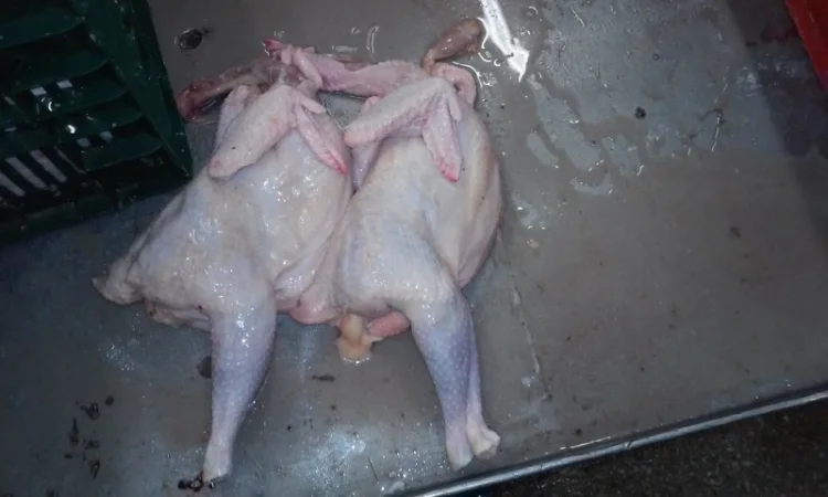 Продаём тушку суповой курицы, тушку бройлера и куриные субпродукты - фото № 1