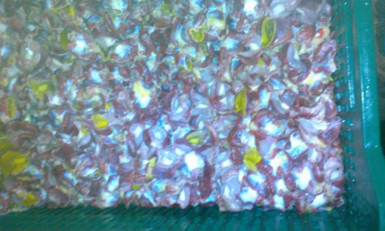 Продаём тушку суповой курицы, тушку бройлера и куриные субпродукты - фото № 4