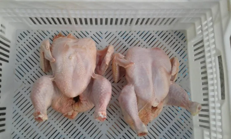 Продаём тушку суповой курицы, тушку бройлера и куриные субпродукты - фото № 2