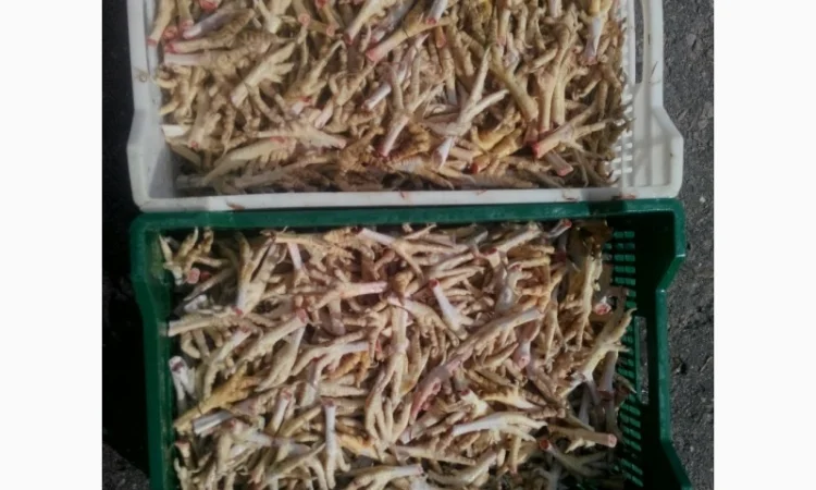 Продаём тушку суповой курицы, тушку бройлера и куриные субпродукты - фото № 6