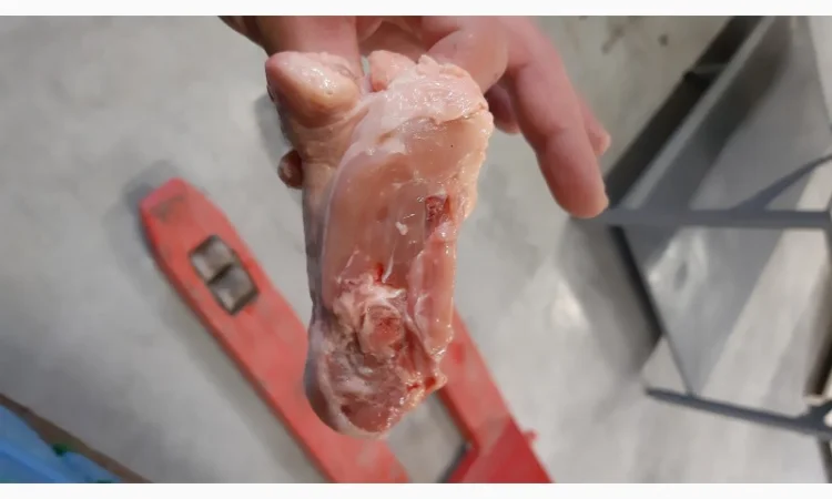 Продам шкіру курячу - фото № 3