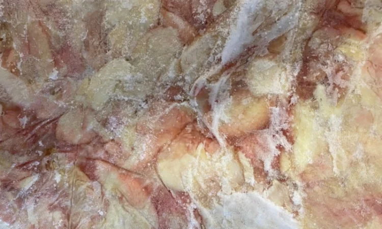 Шкура куриная в объеме 800 кг - фото № 1