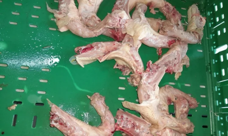 Крупна куряча шия - фото № 1