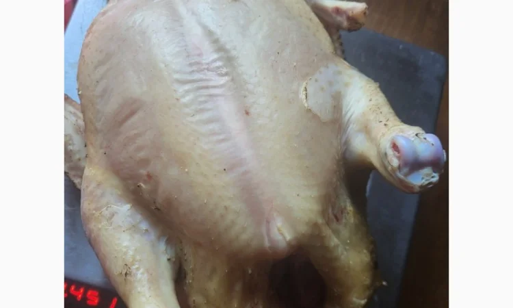 Продаются тушки домашних бройлеров - фото № 1