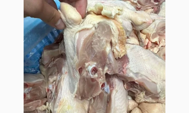 Куплю спинку курячу - фото № 1