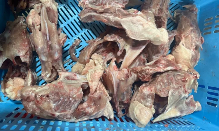 Куплю спинку курячу - фото № 4