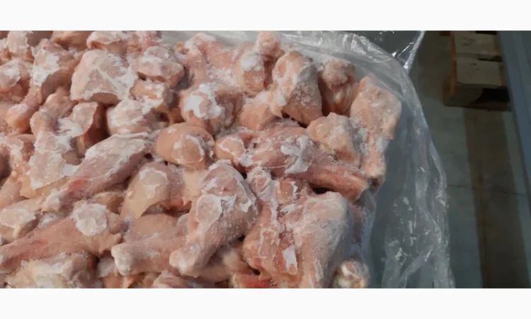 Продам гомілку курячу - фото № 1