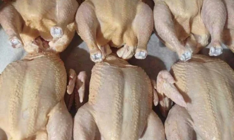 Продам тушки бройлерів - фото № 2