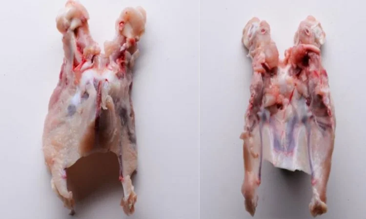 Купимо заморожений курячий каркас - фото № 1