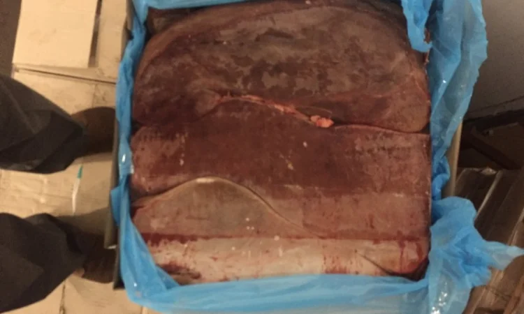 Продам заморожене м’ясо: куряче, свинне та субпродукти - фото № 6