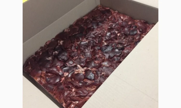 Продам заморожене м’ясо: куряче, свинне та субпродукти - фото № 7