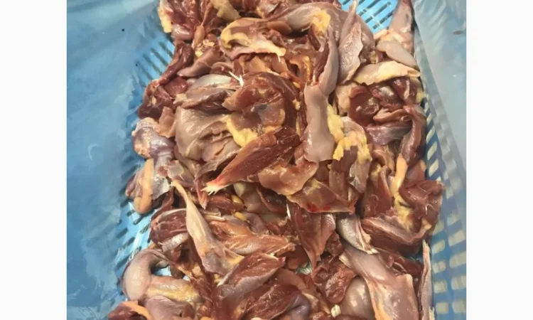 М'ясо курячих окороків Несушка - фото № 3