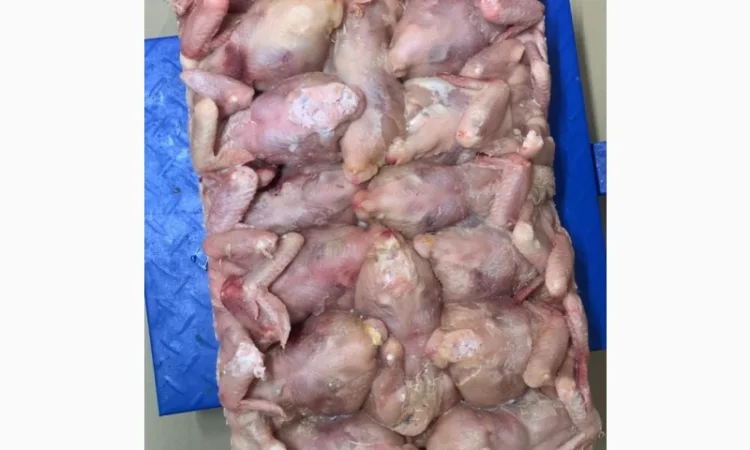 Тушка бройлера - фото № 2