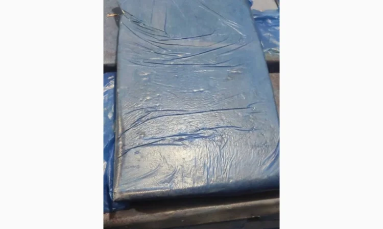 Продам куриный фарш ММО 1 мм - фото № 2