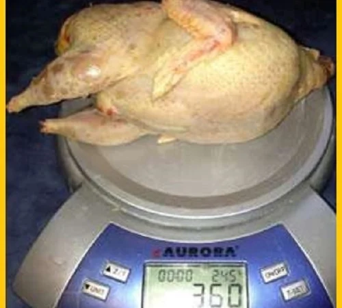 Оптовая продажа BIO перепелиного мяса - фото № 3