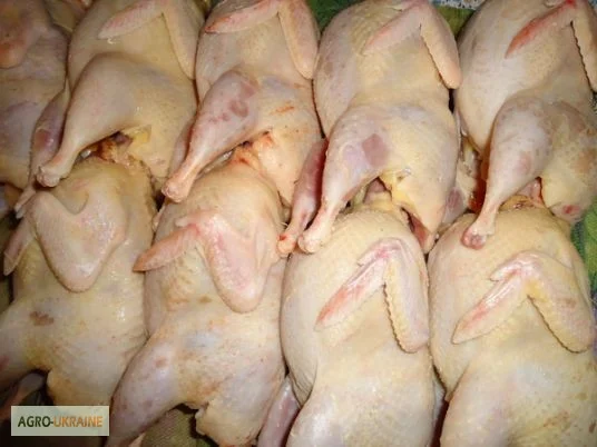 Мясо перепела, тушка - домашнее - фото № 1