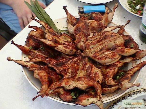 Мясо перепела BIO, фазана и курицы свежее - фото № 4