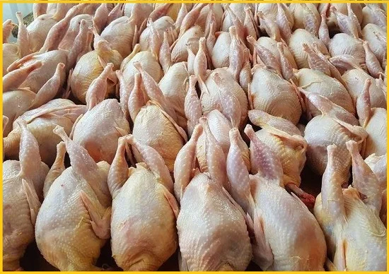 Мясо перепела BIO оптом - фото № 2