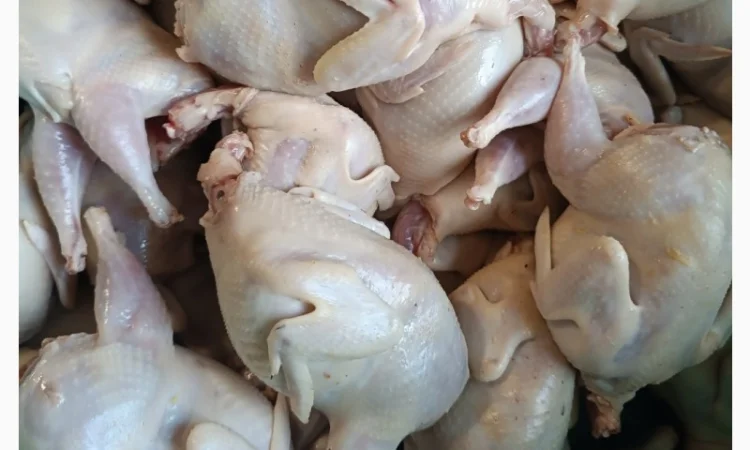 Продам тушки перепелів - фото № 2