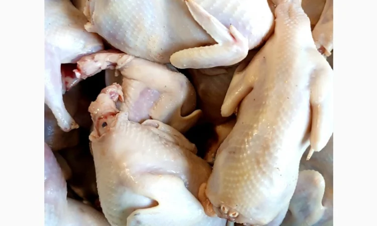 Продам тушки перепелів - фото № 3