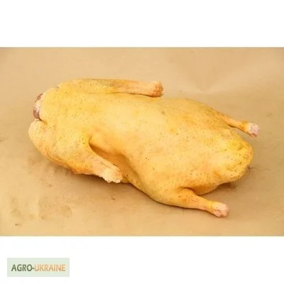 Мясо домашней утки - фото № 2