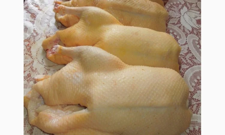 Мясо домашней утки - фото № 3