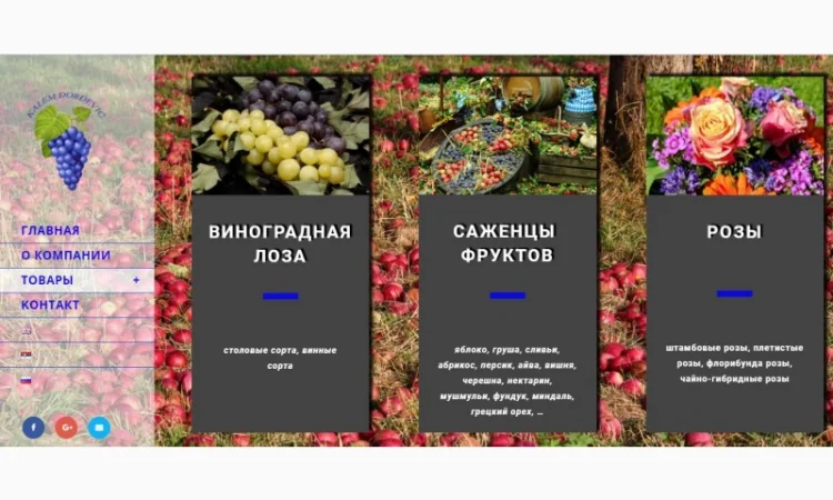 Фруктовые саженцы, виноградные саженцы для виноградников - фото № 1