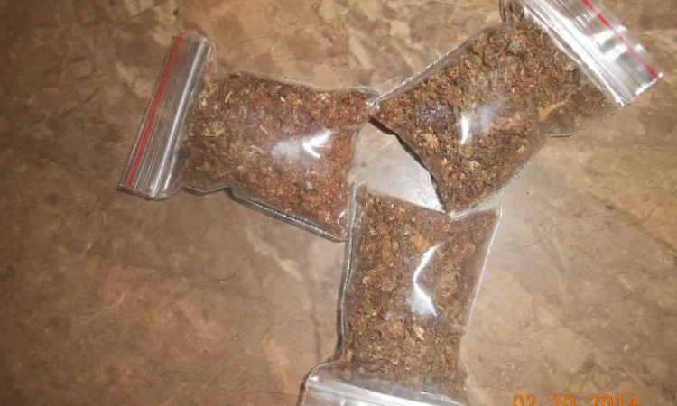 Прополіс бджолиний – натуральний продукт із чистої місцевості - фото № 1