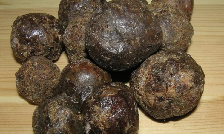 Куплю прополіс оптом і в роздріб - фото № 1